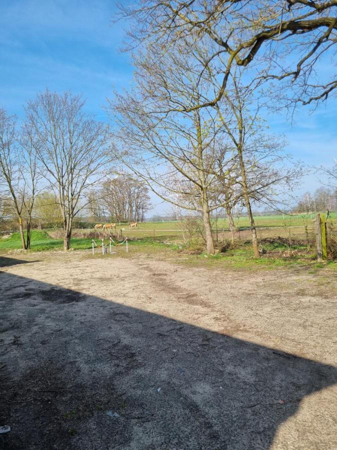 Fewo Neubeeren Großbeeren Exteriér fotografie